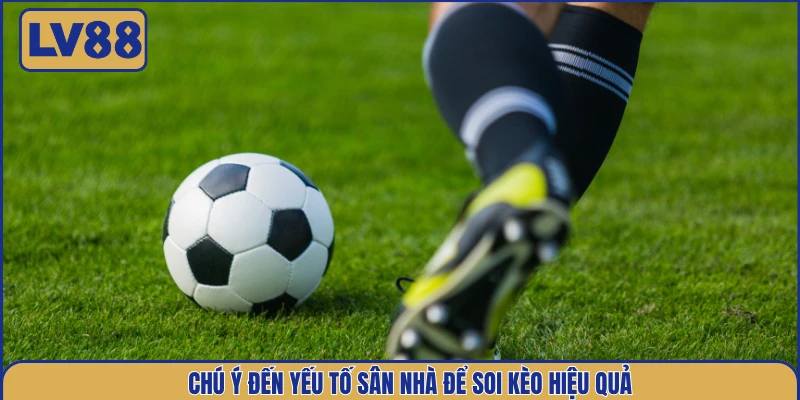 chu-y-den-yeu-to-san-nha-de-soi-keo-hieu-qua