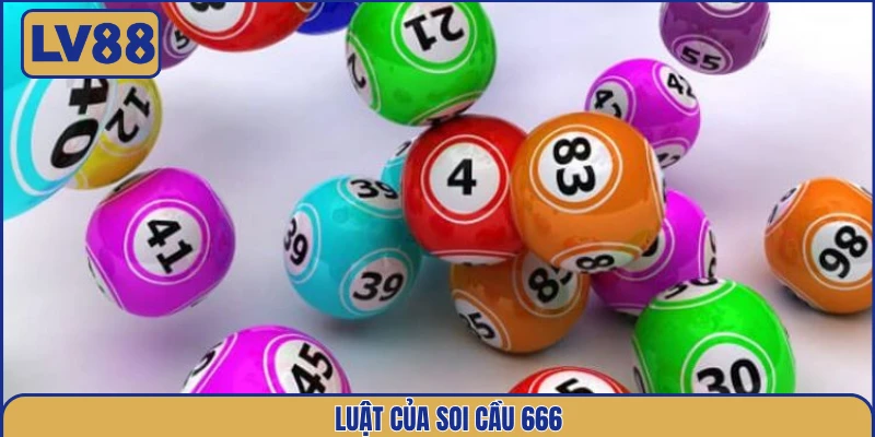 luat-cua-soi-cau-666