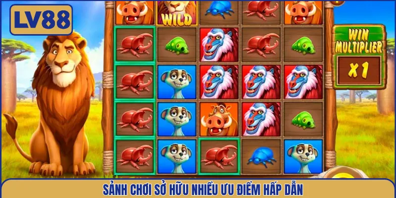 sanh-choi-so-huu-nhieu-uu-diem-hap-dan