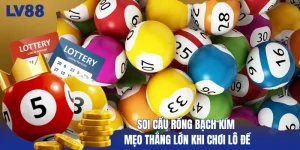 soi-cau-rong-bach-kim