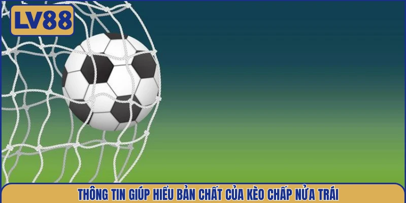 thong-tin-giup-hieu-ban-chat-cua-keo-chap-nua-trai