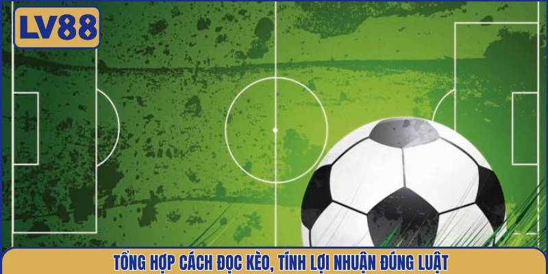 tong-hop-cach-doc-keo-tinh-loi-nhuan-dung-luat